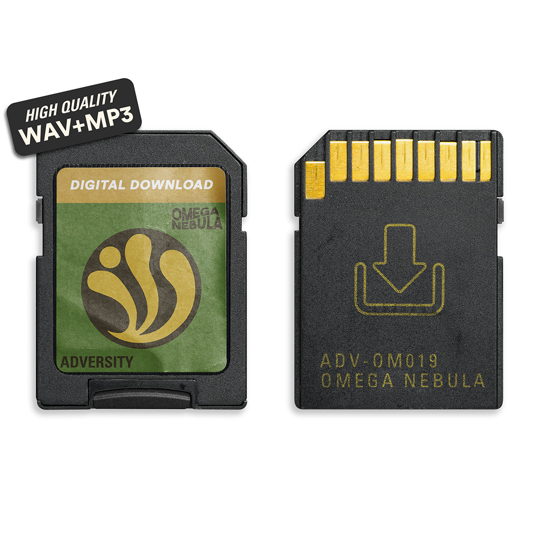 'Adversity'-Digital Download