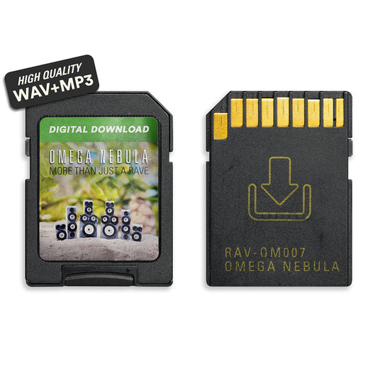 'More Than Just A Rave'-Digital Download